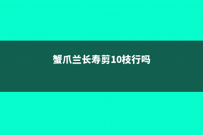 蟹爪兰长寿剪1刀、喂片药，开花1茬接1茬，盆盆爆满！ (蟹爪兰长寿剪10枝行吗)