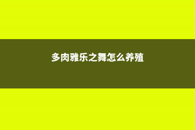 雅乐之舞多肉繁殖方法，可以分株吗 (多肉雅乐之舞怎么养殖)