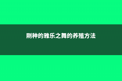 雅乐之舞种下要浇水吗，正确的浇水方法 (刚种的雅乐之舞的养殖方法)