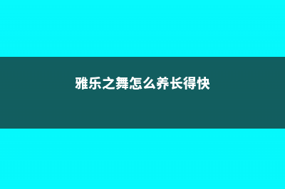 雅乐之舞怎么养长的快，怎样爆花 (雅乐之舞怎么养长得快)