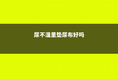 盆里垫个尿不湿，扦插生根100％，半个月不浇水也蹭蹭长！ (尿不湿里垫尿布好吗)