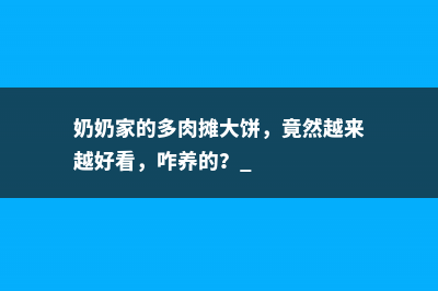 奶奶家的多肉摊大饼，竟然越来越好看，咋养的？ 