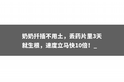 奶奶扦插不用土，丢药片里3天就生根，速度立马快10倍！ 