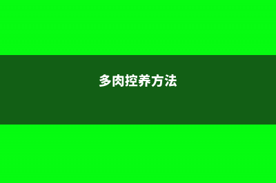 多肉控养大法，3周胖到爆炸，越虐长的越疯狂！ (多肉控养方法)