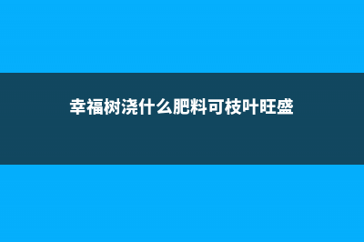 幸福树用什么肥料最好，多久施一次肥 (幸福树浇什么肥料可枝叶旺盛)