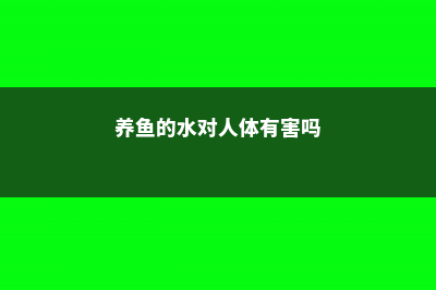 养鱼的水能养富贵竹吗，养鱼的水可以浇花吗 (养鱼的水对人体有害吗)