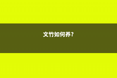 文竹怎么养才能更旺盛（用什么肥料、怎么修剪） (文竹如何养?)