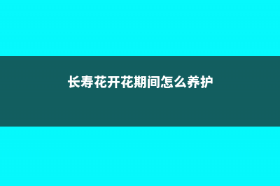 “长寿花”开花茂盛可不难，学会3个“不要”，深冬也能花满枝！ (长寿花开花期间怎么养护)