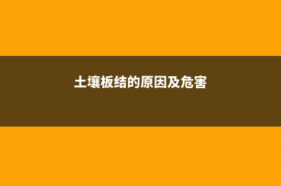 土壤板结别担心，捡点“松针”用上，养分足啥花都能旺！ (土壤板结的原因及危害)