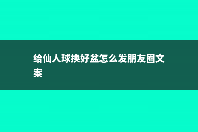 给“仙人球”换盆，用上这个小技巧，能养10年还开花！ (给仙人球换好盆怎么发朋友圈文案)