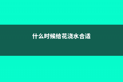 什么时候给花浇水最好 (什么时候给花浇水合适)