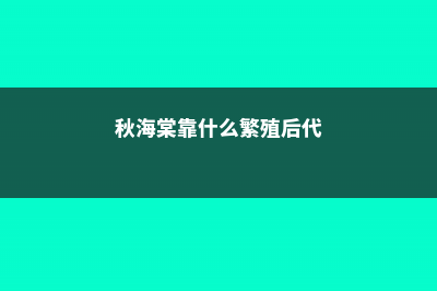 秋海棠靠什么繁殖 (秋海棠靠什么繁殖后代)