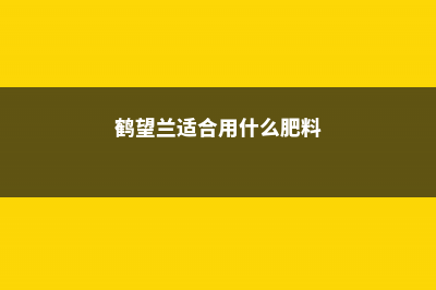 鹤望兰适合用什么肥料 (鹤望兰适合用什么肥料)