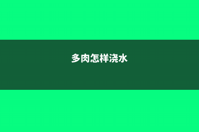 花什么时候浇水最好 (多肉怎样浇水)