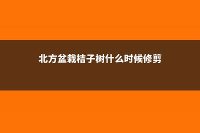 北方盆栽桔子树怎么养，冬天怎么养 (北方盆栽桔子树什么时候修剪)