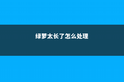 绿萝太长了要怎么绕 (绿萝太长了怎么处理)