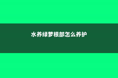 水养绿萝根部怎么修剪 (水养绿萝根部怎么养护)