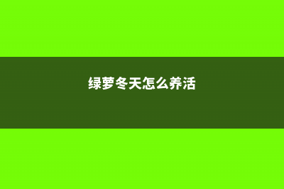 盆栽绿萝冬天怎么保温 (绿萝冬天怎么养活)