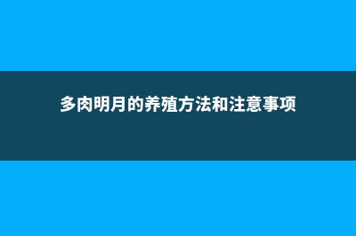 多肉明镜怎么养 (多肉明月的养殖方法和注意事项)