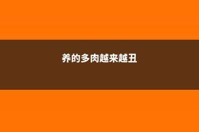 多肉养得丑怎么办？别担心，会拍照就行！ (养的多肉越来越丑)