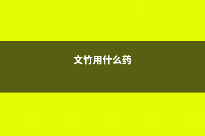 给文竹喂片“药”，新芽蹭蹭长，60天毛茸茸叶片长满盆！ (文竹用什么药)