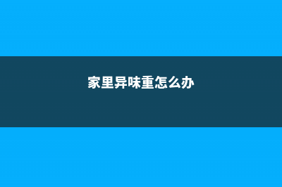 家里异味浓，摆盆“夺香花”在房间，味道香更持久！ (家里异味重怎么办)