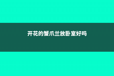 开花的蟹爪兰，棉签擦一下，结籽千千万，撒土里冒一盆苗！ (开花的蟹爪兰放卧室好吗)