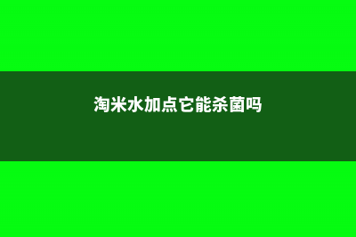 淘米水加点它，肥效猛增10倍，啥花喝了都疯长！ (淘米水加点它能杀菌吗)