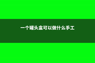 她用罐头盒，建了个多肉杂货铺，走进来就不想离开了！ (一个罐头盒可以做什么手工)