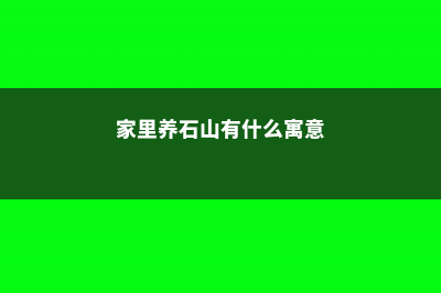 石山怎么养 (家里养石山有什么寓意)