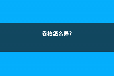 卷柏怎么养 (卷柏怎么养?)