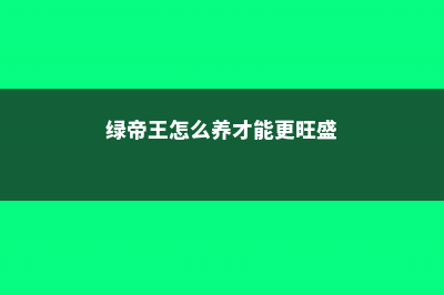 绿帝王怎么养 (绿帝王怎么养才能更旺盛)