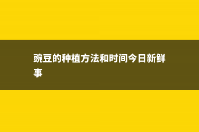 豌豆的种植方法和时间 (豌豆的种植方法和时间今日新鲜事)