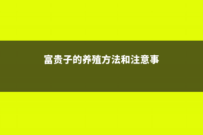 富贵子的养殖方法和注意事项 (富贵子的养殖方法和注意事)