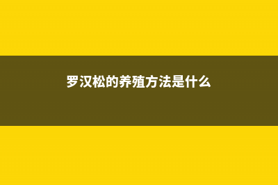 罗汉松的养殖方法 (罗汉松的养殖方法是什么)