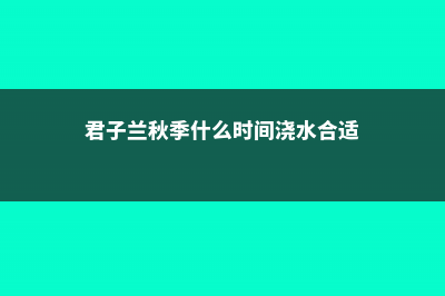 君子兰秋天几月份换土 (君子兰秋季什么时间浇水合适)