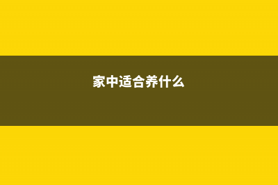 家中养的3种“树”，冬天一到就剪枝，长成盆栽运势旺！ (家中适合养什么)