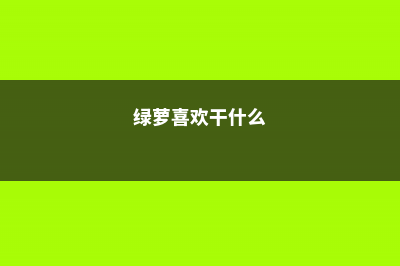 绿萝最爱这“4种”肥水，喝了之后叶子油亮，长得枝繁叶茂！ (绿萝喜欢干什么)