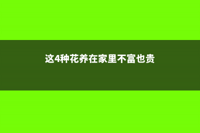 这“4种”花养家里，一年到头“绿油油”，浇点水就能长满盆！ (这4种花养在家里不富也贵)