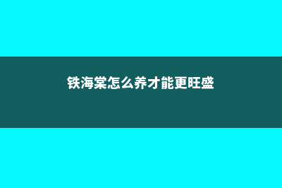 铁海棠怎么养 (铁海棠怎么养才能更旺盛)