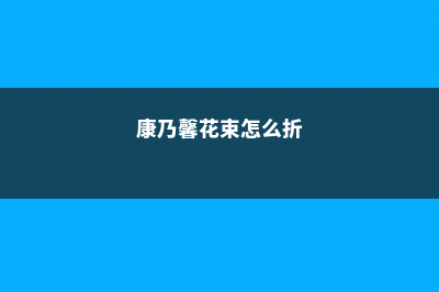 康乃馨花束怎么养 (康乃馨花束怎么折)