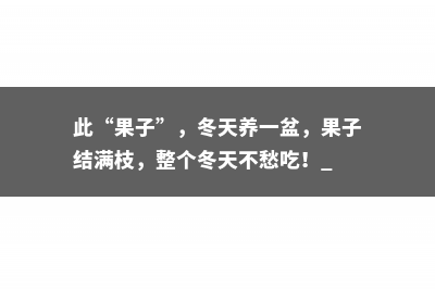 此“果子”，冬天养一盆，果子结满枝，整个冬天不愁吃！ 