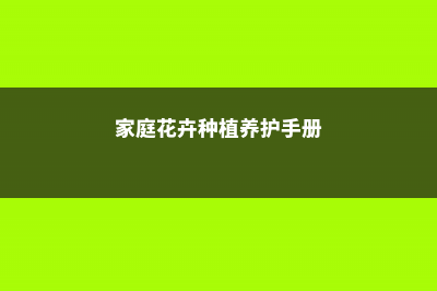 家庭花卉养殖技巧 (家庭花卉种植养护手册)