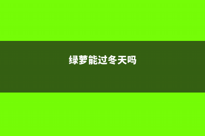 绿萝能过冬么，怎样过冬（温度和养护） (绿萝能过冬天吗)