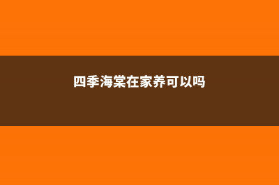 四季海棠在家养，这样“剪几刀”，开花旺叶片绿，喜气洋洋！ (四季海棠在家养可以吗)