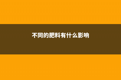 各种肥料都比不上家里这小东西，用上一点，啥花都能长爆盆！ (不同的肥料有什么影响)