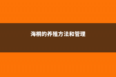 海桐的养殖方法和注意事项 (海桐的养殖方法和管理)