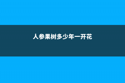 人参果树几年开花结果 (人参果树多少年一开花)