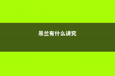 吊兰最爱这种“肥”，喂上几粒，黄叶干尖都没有，嫩芽突突冒！ (吊兰有什么讲究)