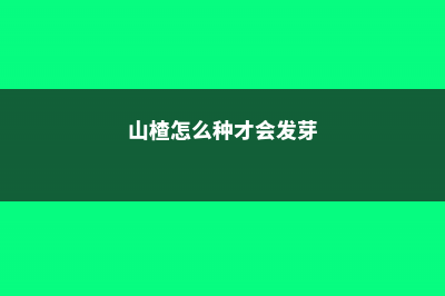 山楂怎么种 (山楂怎么种才会发芽)